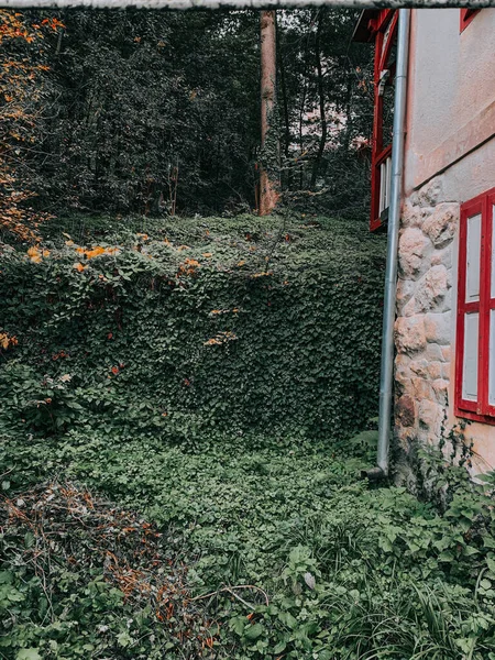 Disparo Vertical Arbustos Verdes Cerca Una Casa Piedra Sovata Rumania — Foto de Stock