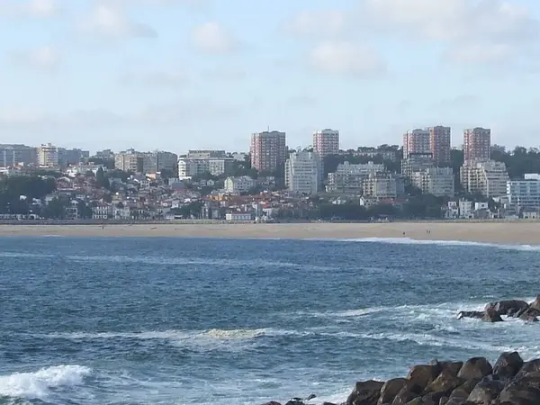 Paisaje Marino Soleado Cerca Edificios —  Fotos de Stock