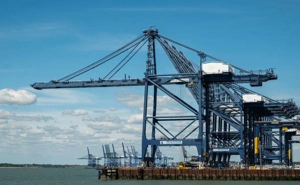 Felixstowe Limanı Ndaki Turnalar — Stok fotoğraf