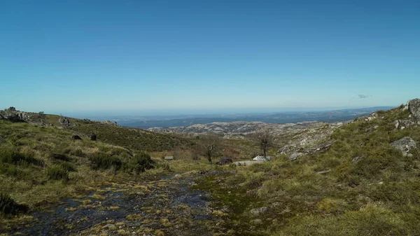 Der Blick Auf Das Feld Von Oben — Stockfoto