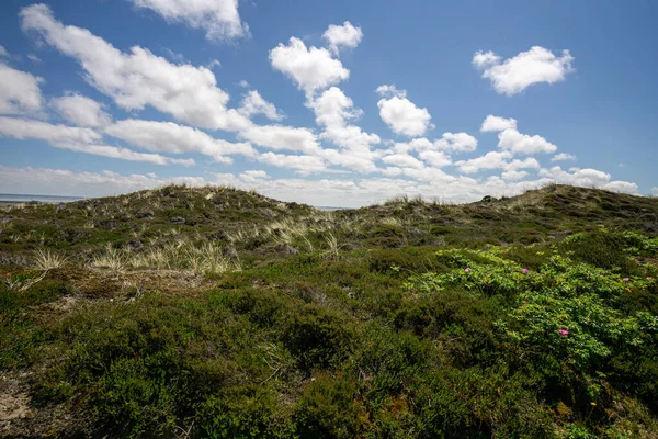 Una Vista Campos Hierba Arbustos Cielo Nublado — Foto de Stock