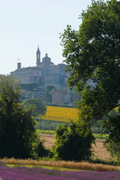Ein Blick Auf Die Gemeinde Auditor Italien Und Ein Lavendelfeld — Stockfoto