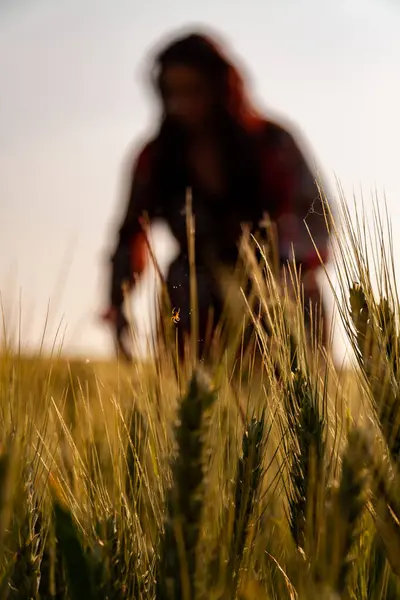 Primer Plano Campo Trigo Una Mujer — Foto de Stock