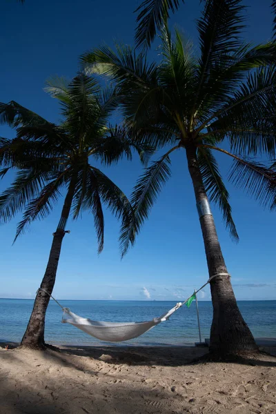 Denizin Kumlu Sahilinde Palmiye Ağaçlarına Bağlı Beyaz Bir Hamağın Dikey — Stok fotoğraf