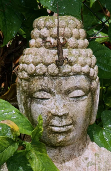 Eine Vertikale Aufnahme Einer Buddha Statue Mit Einer Eidechse Auf — Stockfoto