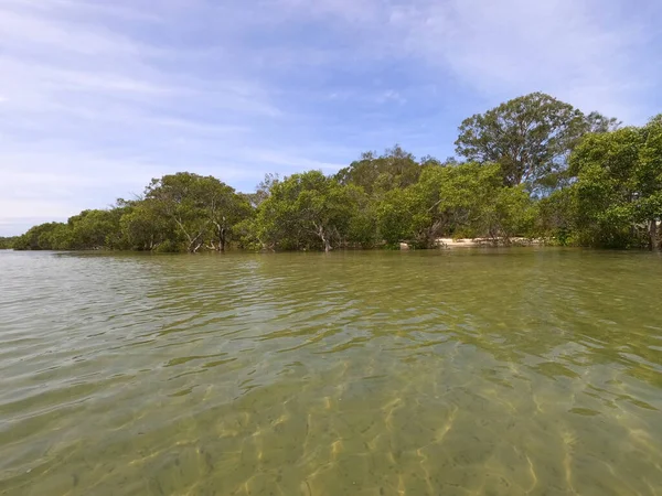 Uma Paisagem Aquática Lisa Com Árvores Verdes Fundo Passeios Caiaque — Fotografia de Stock
