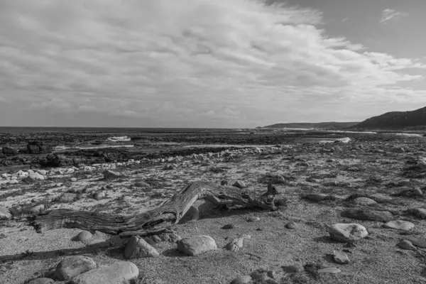 Een Grijswaarden Opname Van Een Stenig Landschap — Stockfoto