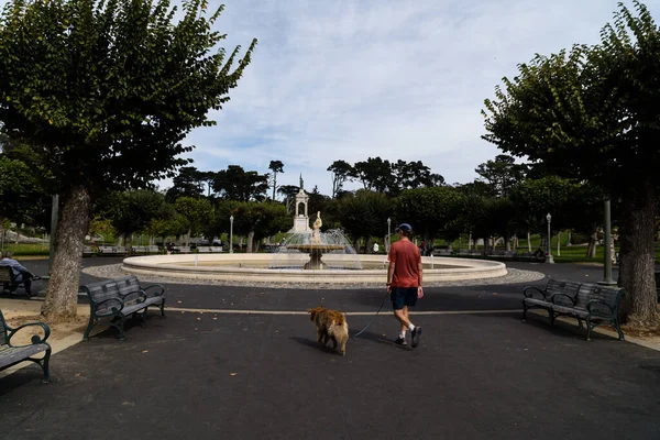 Macho Caminhando Com Cachorro San Francisco Park Com Uma Grande — Fotografia de Stock