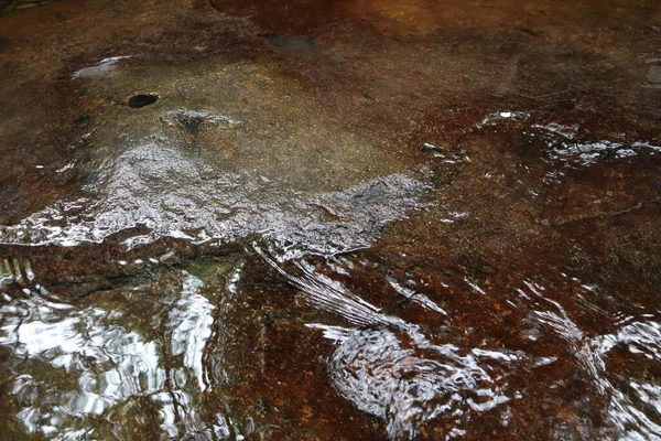 Zbliżenie Ujęcia Strumienia Wody Lesie — Zdjęcie stockowe