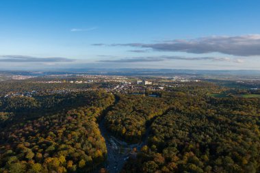 Sonbaharda Stuttgart 'taki orman ağaçlarının hava manzarası.