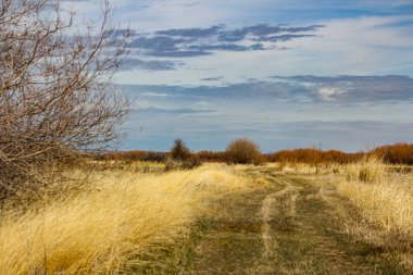 Oregon 'un doğusundaki tarladan geçen bir yol manzarası