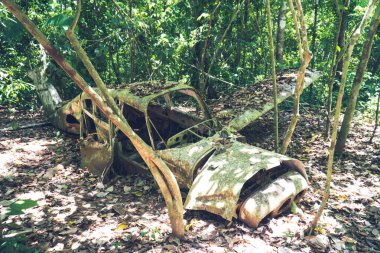 Kosta Rika ormanında düşen uçağın görüntüsü.