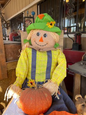 Ördek kuyruklu, balkabaklı tatlı bir kadın korkuluk.