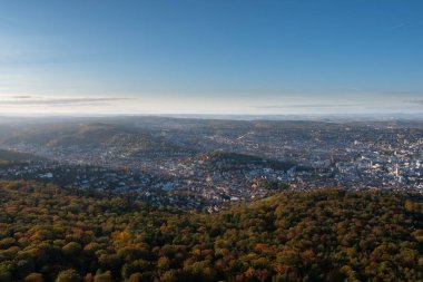 Sonbaharda Stuttgart 'taki orman ağaçlarının hava manzarası.