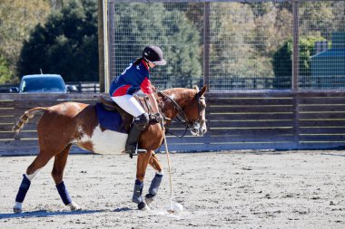 USCA Women 's Polo takımı Texas A & M Women' s Polo takımına karşı Aiken, SC 'deki New Bridge Polo Arena' da mücadele ediyor.