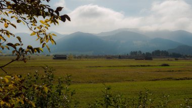 Slovenya 'nın arka planında dağlar olan güzel bir saha manzarası
