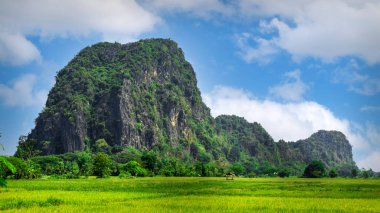 Ninh Binh, Vietnam 'daki yeşil bir vadinin manzarası.