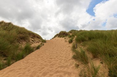 A view of sandy path surrounded by green grasses under cloudy sky clipart