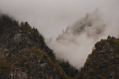 Uçurumun kenarında yüzen sisli bulutların güzel bir görüntüsü.