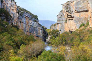 Kırsal bölgedeki bitki örtüsüyle çevrili kayalık uçurumların manzarası