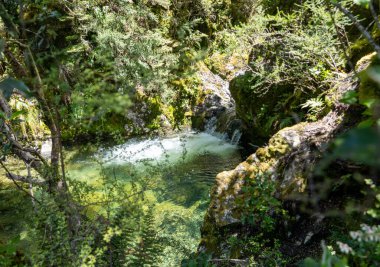 Güneşli yosunlu kayalarda nehir suyundan oluşan güzel bir gölet manzarası, Arthur 'un Geçidi Köyü, Yeni Zelanda