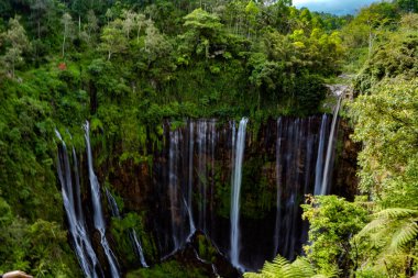 Sewu Şelalesi manzaralı Sidomulyo, Endonezya