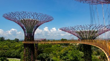 Singapur 'daki Bay Park' ın yanındaki bahçelerin manzarası.