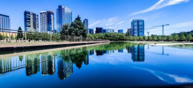 Güneşli bir günde Bellevue Şehir Parkı 'nın güzel bir manzarası