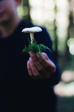Arka planda bokeh ışıkları olan bir mantarı tutan bir adamın yakın plan fotoğrafı.