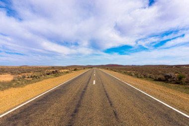 Bulutlu bir gökyüzünün altında kırsal bir yol