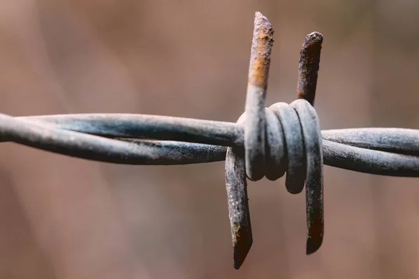 Een Close Van Een Knoop Een Metalen Prikkeldraad Met Een — Stockfoto