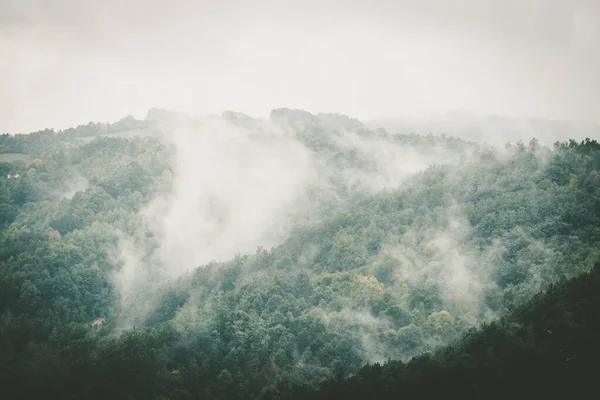 俯瞰群山和茂密的森林 上面笼罩着烟雾 — 图库照片