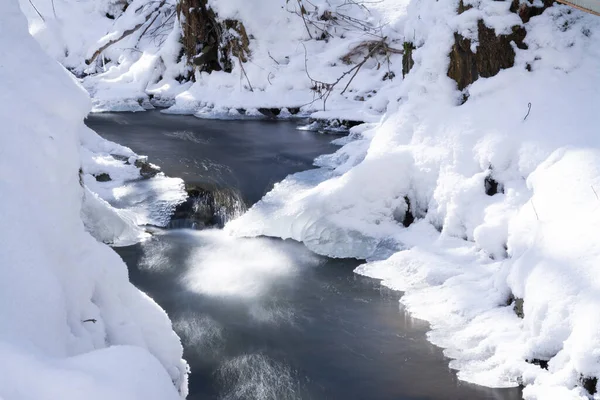 Snowy River Forest Winter — Stock Photo, Image