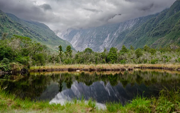 Beautiful View Peters Pool Walk Franz Josef Glacier Tears Hine — Stock Photo, Image