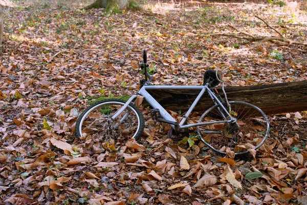 Uma Bicicleta Inclinada Sobre Uma Árvore Caída — Fotografia de Stock