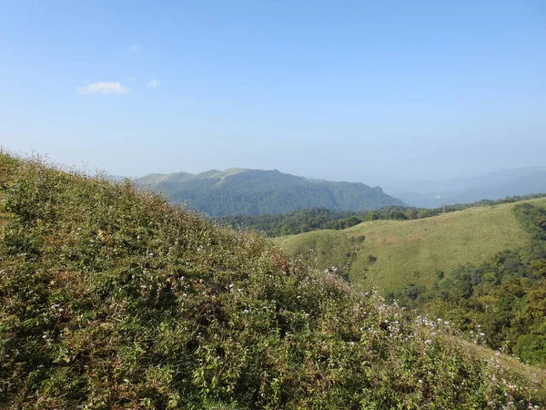 Eine Schöne Aufnahme Der Teeplantage Munnar Kerala — Stockfoto