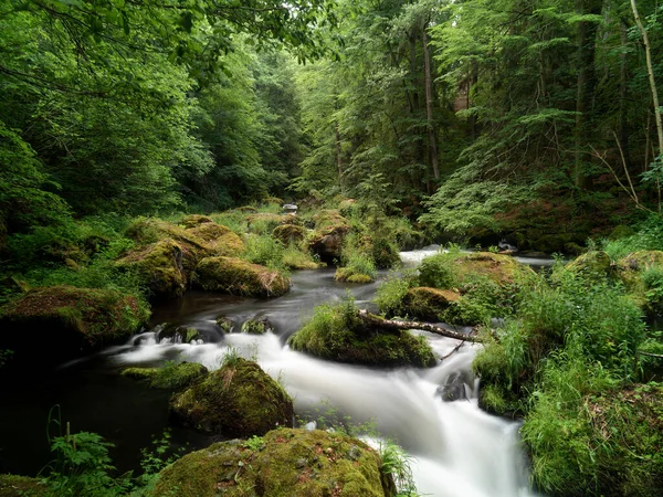 Photo Natural Landscape Flowing Stream Rocks Plants Trees — Stock Photo, Image