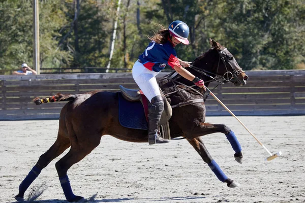 Usca女子ポロチーム対テキサスA M女子ポロチームは Scエイケンのニューブリッジポロアリーナで競合 — ストック写真