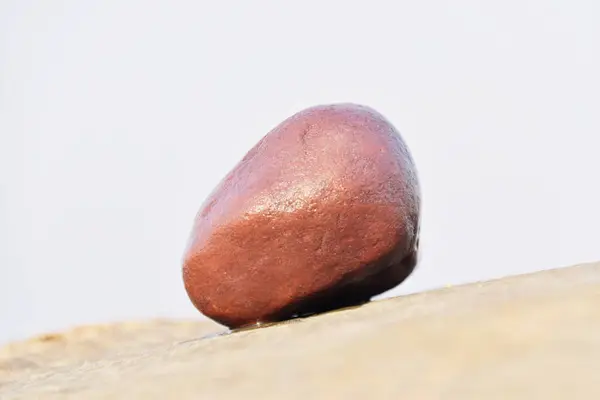 晴れた日にはぬれた茶色の石の美しいショット — ストック写真