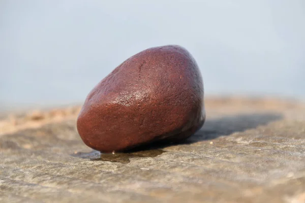 晴れた日にはぬれた茶色の石の美しいショット — ストック写真