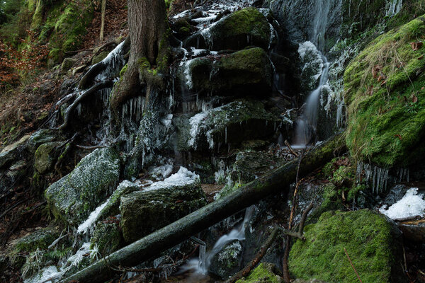 The mossy rocks in a forest