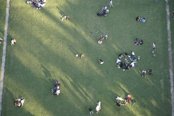 Una Vista Aérea Grupos Personas Haciendo Picnic Parque Día Soleado —  Fotos de Stock