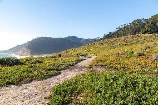 Beautiful Shot Landscape Clear Skies — Stock Photo, Image