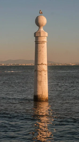 葡萄牙里斯本 一只海鸥栖息在一根柱子上的垂直镜头 — 图库照片