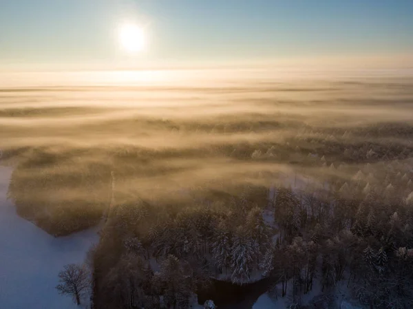 Güneşin Arka Planında Sis Olan Bir Kış Ormanının Güzel Bir — Stok fotoğraf