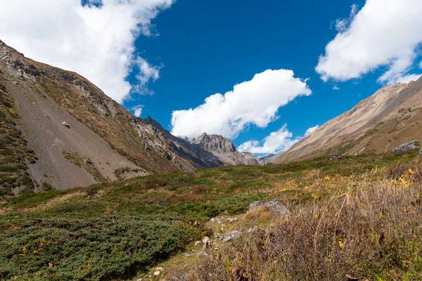 Vacker Utsikt Över Naturskyddsområdet Annapurna Chhusang Nepal — Stockfoto