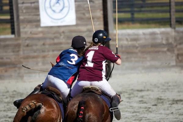 Usca Womens Polo Team Texas Womens Polo Team Competition New — 스톡 사진