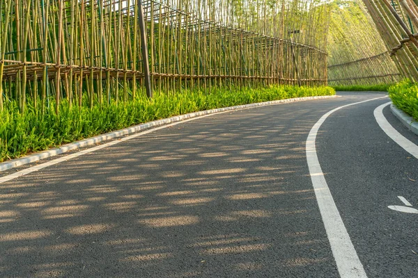 Uma Estrada Asfalto Vazio Cercado Por Árvores Bambu — Fotografia de Stock