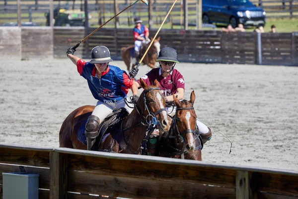 Usca Womens Polo Team Texas Womens Polo Team Competition New — 스톡 사진