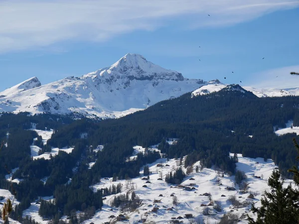 Het Prachtige Winterlandschap Met Alpen — Stockfoto